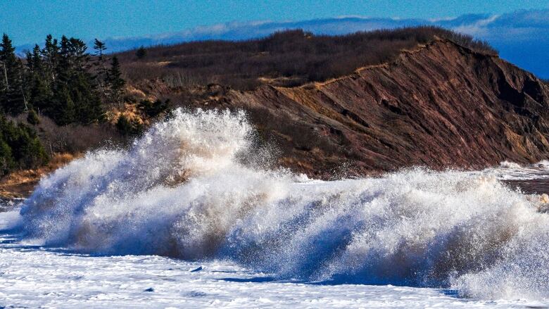 A white, foaming wave rolls toward shore. In the distance is a pine-covered hill.