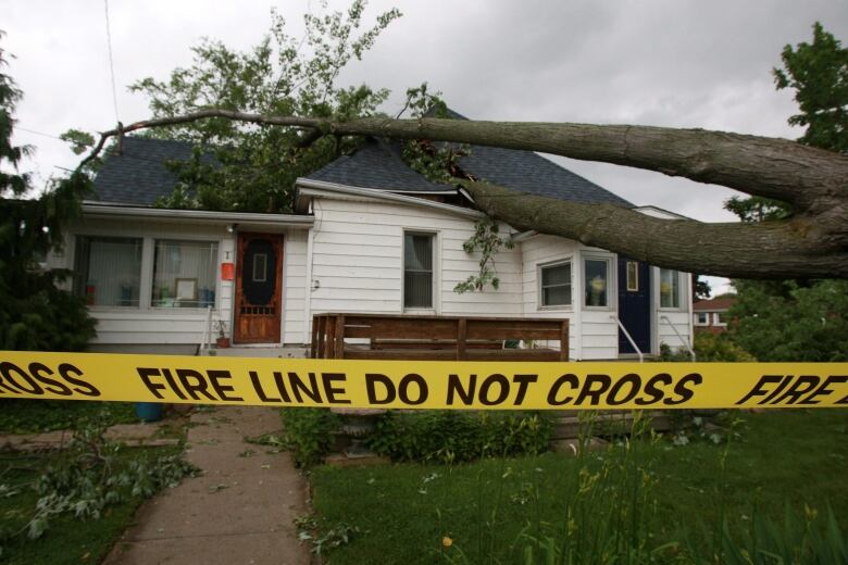 A home that has a tree on top of it, with 