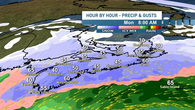 This map shows widespread moderate snowfall for NS on Monday morning.