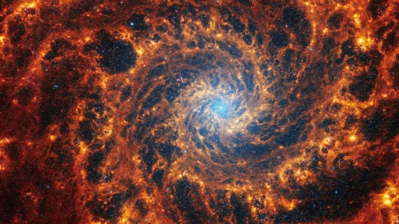 A spiral galaxy.