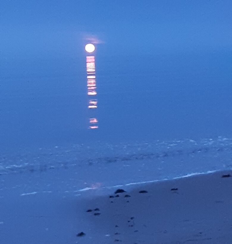 A full moon hangs low over a blue horizon, its reflection rippling down over the water.