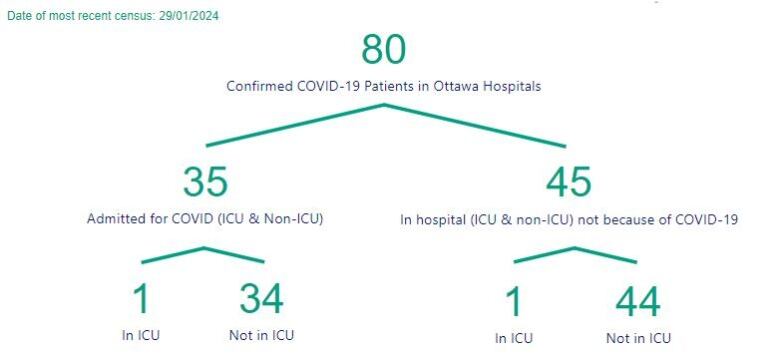 A chart showing the number of people in Ottawa hospitals with COVID.