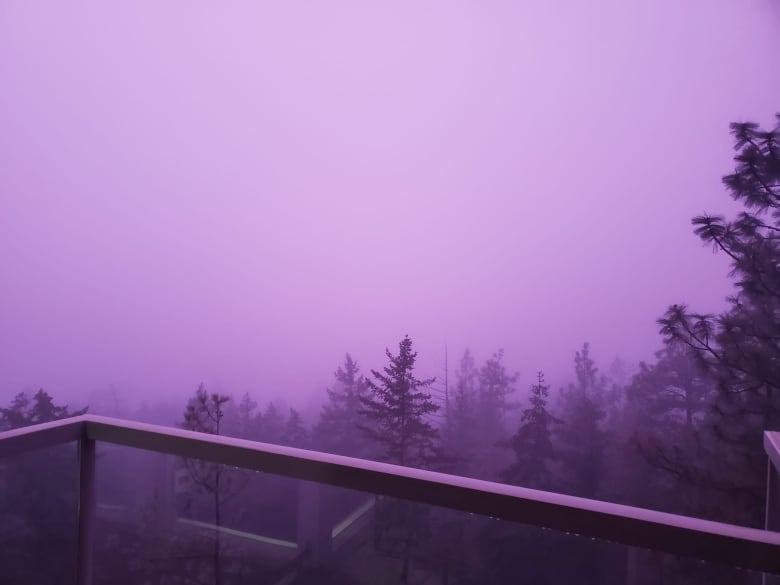 Purple fog over a lake.