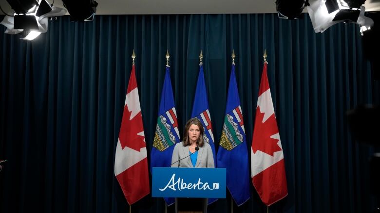 a woman, alone at a lectern