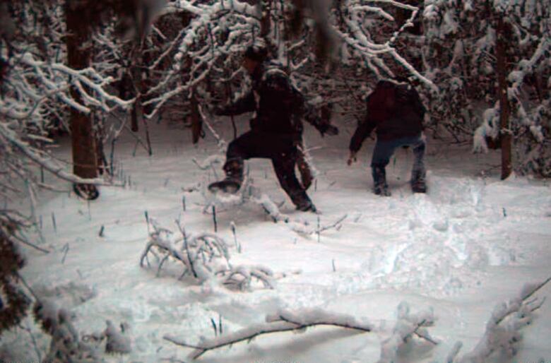 People walk in snowy forest