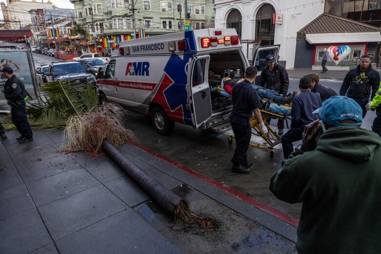 Paramedics load a person on a stretcher into an ambulance as a fallen tree lays on the ground.