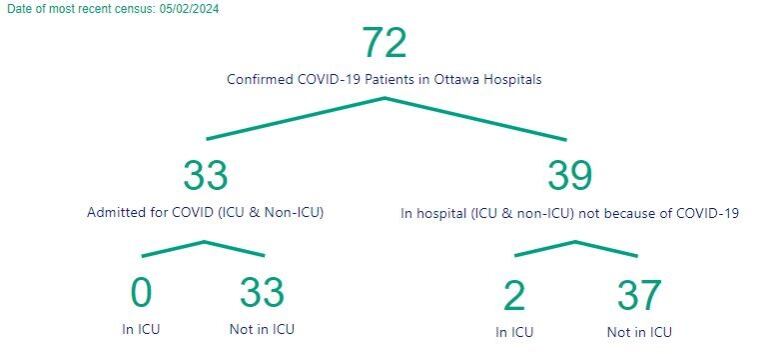 A chart showing the number of people in Ottawa hospitals with COVID.