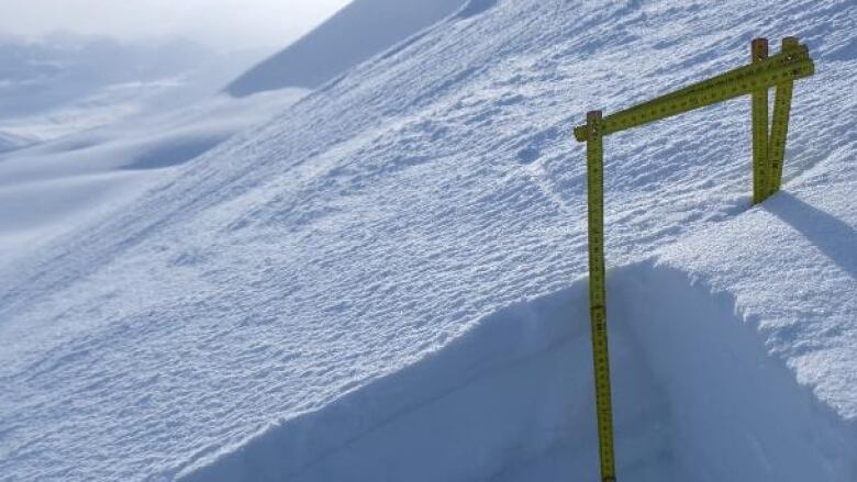 Jeff Moskowitz, a forecaster with the Haines Avalanche Center, measures snow layers on Nadahini mountain. 