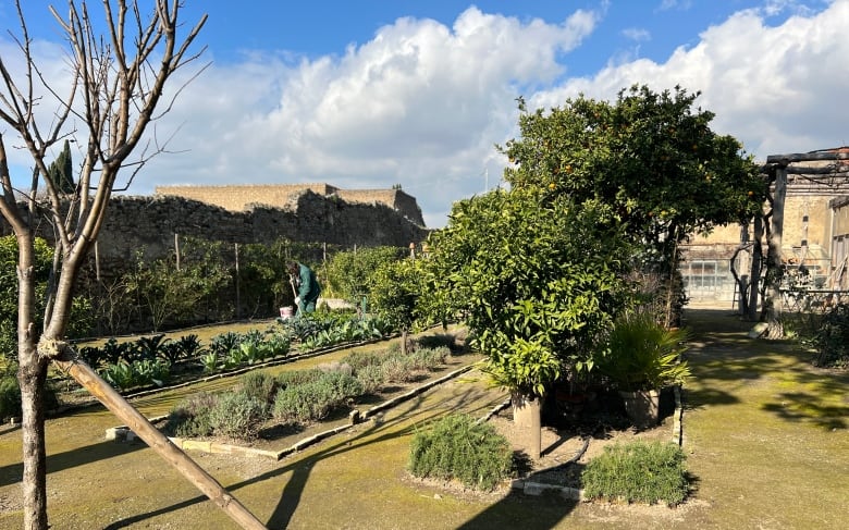 A well-tended garden among ruins with trees, low shrubs and other vegetation.