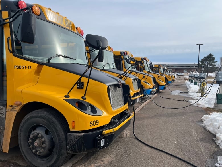 A line of bright yellow buses are being charged in front of a school.