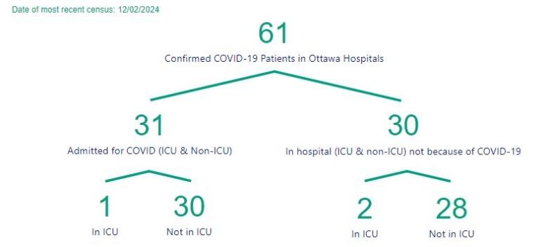 A chart showing the number of people in Ottawa hospitals with COVID.