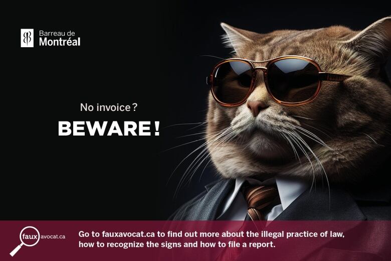 A slide from the Montreal Bar's campaign shows a cat in sunglasses and a caption that reads 