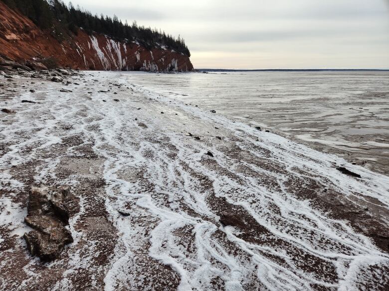 White, foamy waves crash over a pebbly shore. Brown cliffs lined with trees are in the distance.