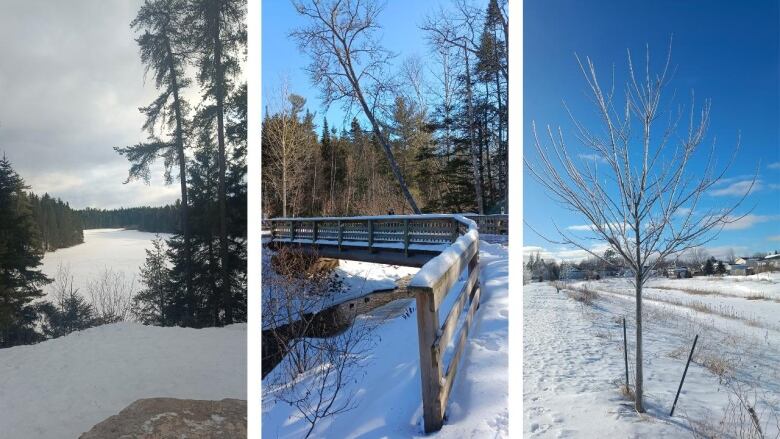 Three photos are placed next to each other. The first shows a winding river surrounded by pine trees. The second shows a snowy bridge in a forest. The third shoes a leafless tree in a snowy field.