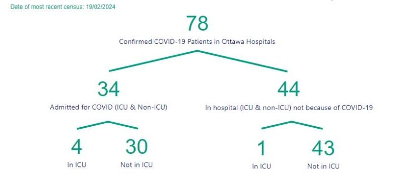 A chart showing the number of people in Ottawa hospitals with COVID.