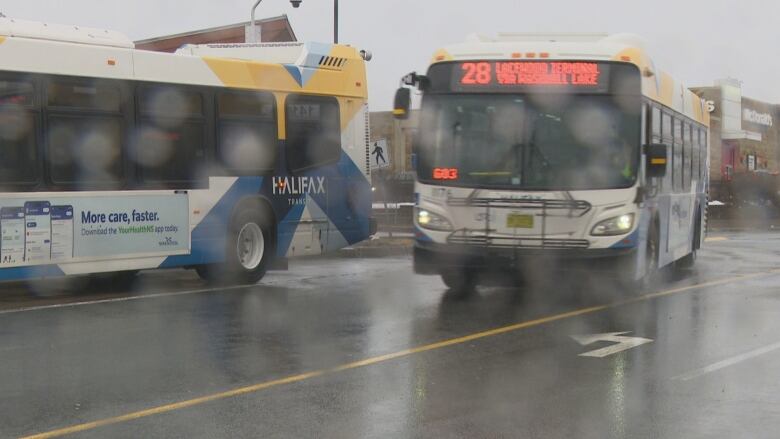 Halifax transit buses are seen at Mumford Terminal.