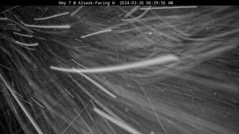 Snow blows in a Screenshot of a Saskatchewan Highway Hotline camera on Highway 7 on Monday morning.