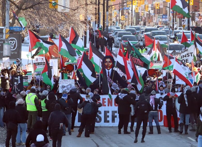 People rally on a city street in winter. Many carry red, white, green and black Palestine flags.