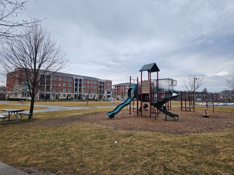 A playground in Max Becker Common in the community of Williamsburg, Kitchener.