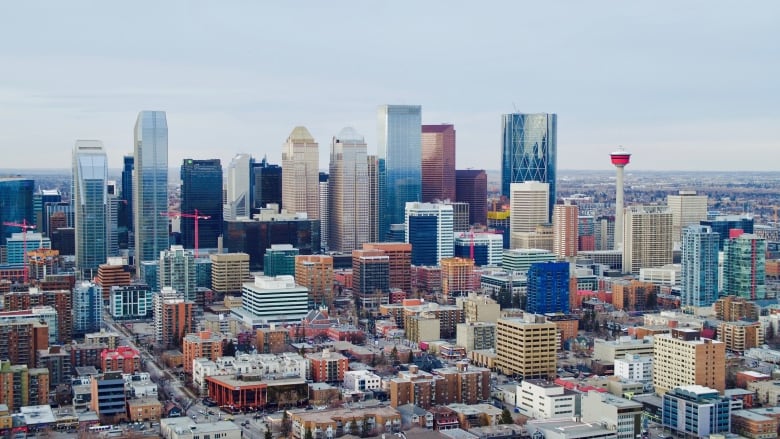 a skyine view of the city of calgary. buildings are pictured.