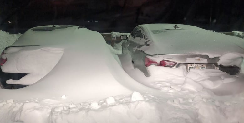 Cars in Saskatoon covered by the weekend snowfall.