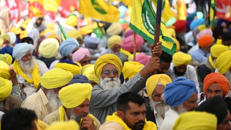 Farmers in India take part in a sit-in protest.