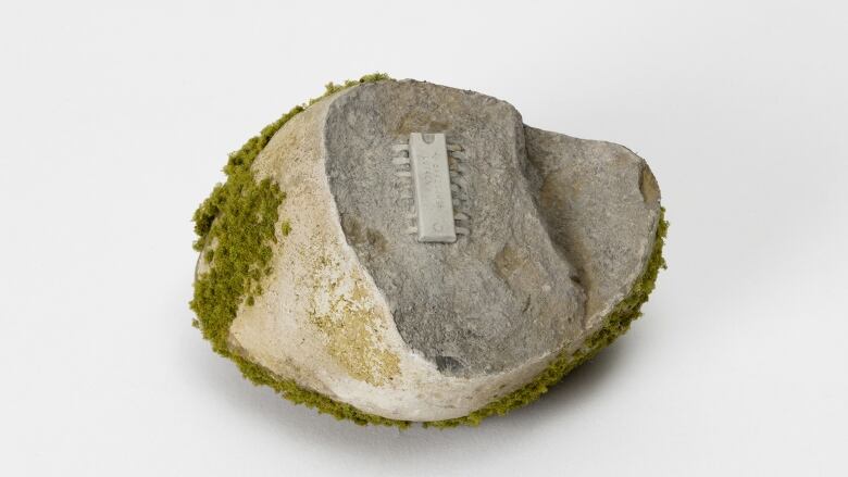 A rock covered in moss with a fossil of a computer chip in it.