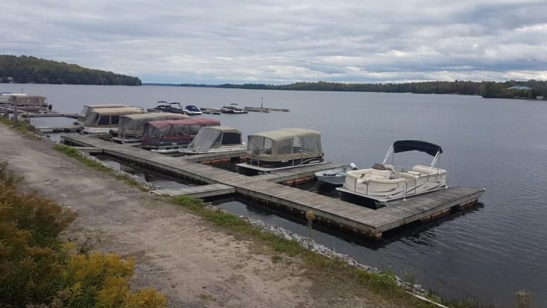 A small dock with several boats on a lake.