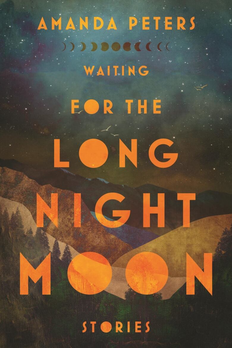  A book cover featuring mountains under a starry night.