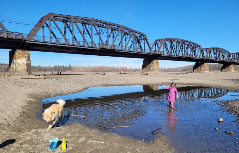 A child and a dog walk through a puddle.