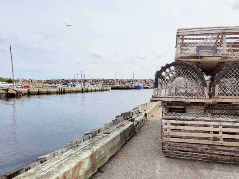 Lobster traps are pictured sitting on a wharf at Neils Harbour