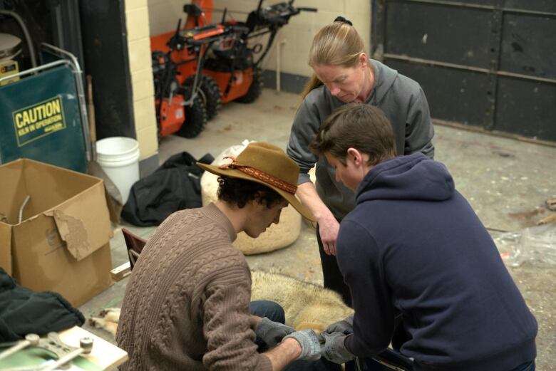 A teacher oversees a student learning to skin a coyote.