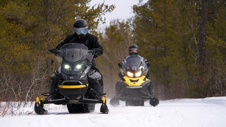 Two men in black snow suits and helmets ride black and yellow snowmobiles down a trail through coniferous trees.