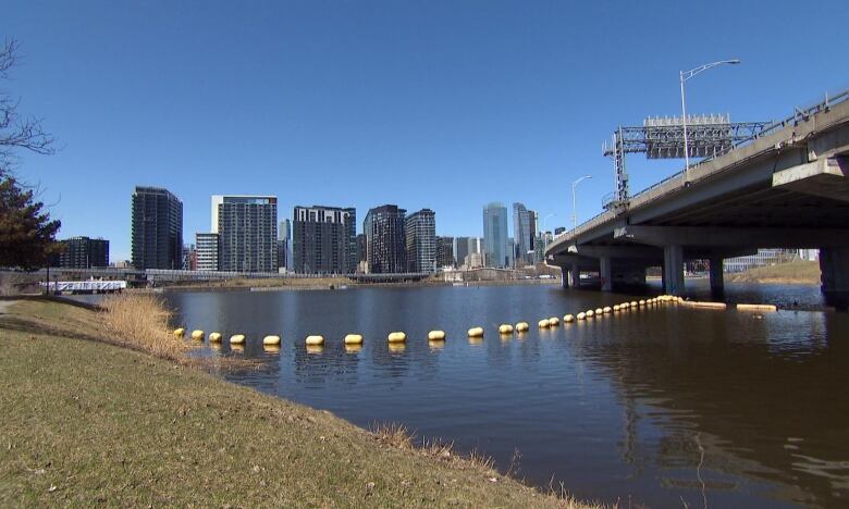 lake in front of city