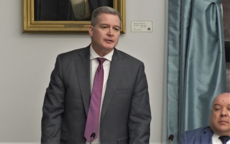 Mark McLane standing in the legislature.