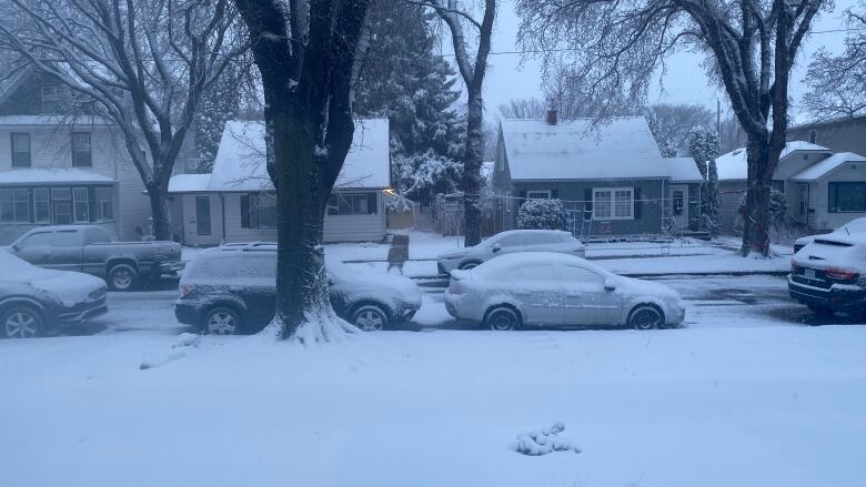 a street and cars are blanked by white snow