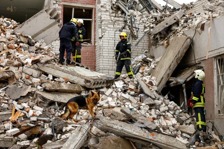 Rescue workers and a dog stand in the rubble of a building.