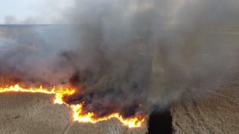 An aerial shot of a big fire burning in open marshland.