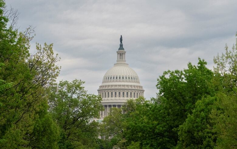 A view of the U.S. Capitol is seen in Washington on Saturday, the day that U.S. lawmakers were to vote on legislation providing $95 billion US in security assistance to Ukraine, Israel and Taiwan.