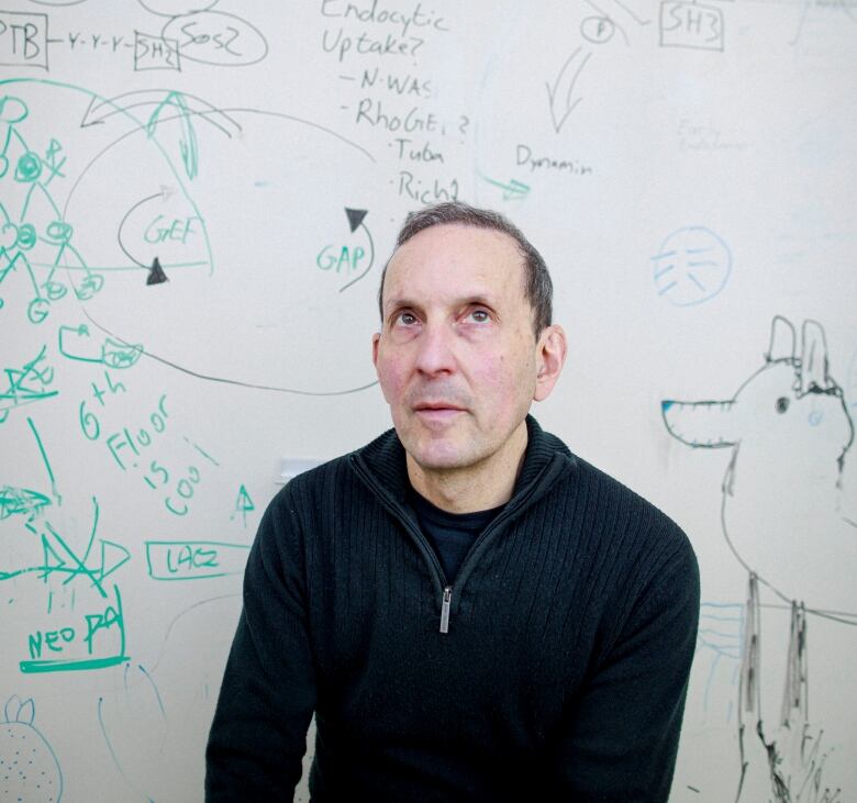 A man sits in front of a whiteboard.