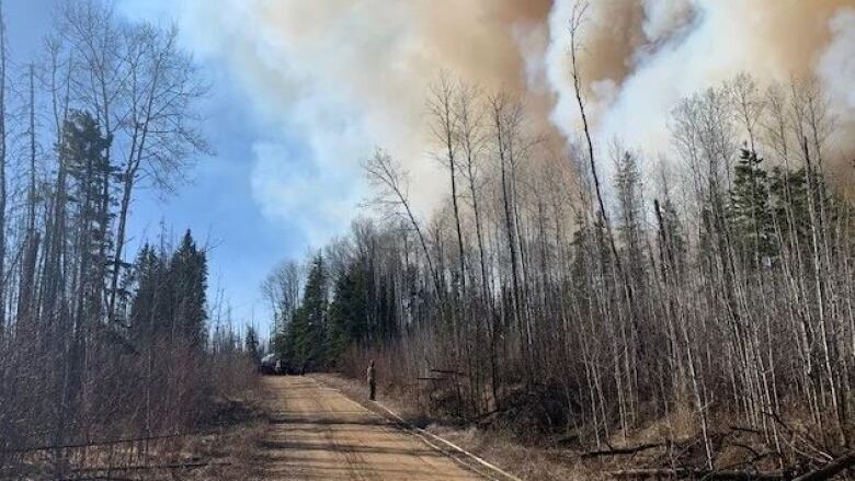 Smoke billows from a line of trees along a woods road. 