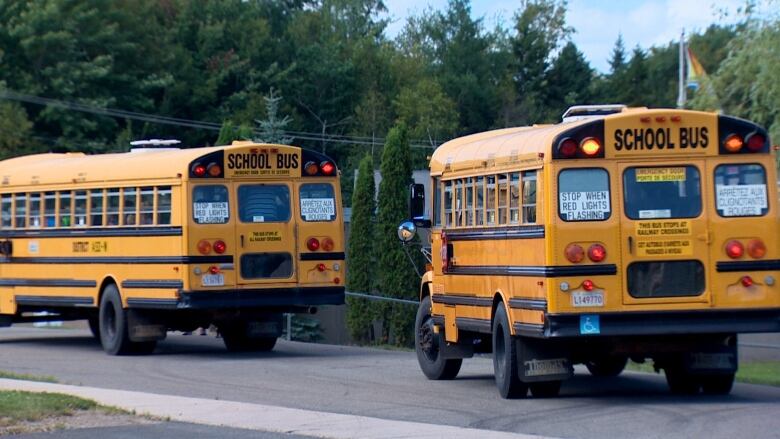 Two school buses parked