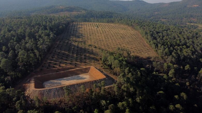 An empty irrigation pond under construction near an avocado orchard.