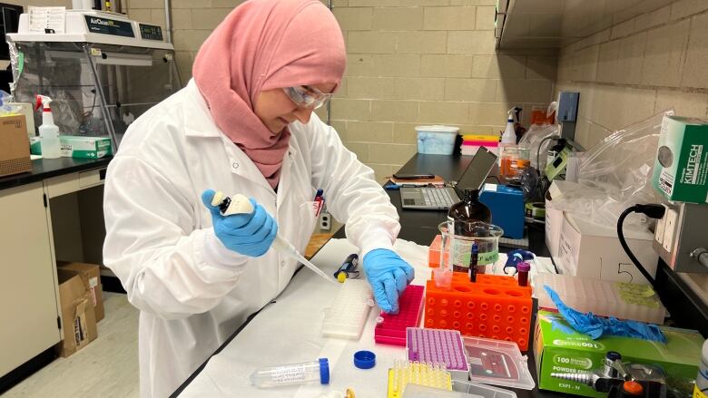 Shahad is wearing blue gloves, a white lab coat and pink headscarf. She is testing to see if a sap sample is buddy or not. 