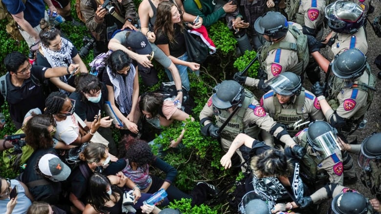 A crowd of protesters on one side of a line of shrubs faces a crowd of police in riot gear, as officers pull one demonstrator away.