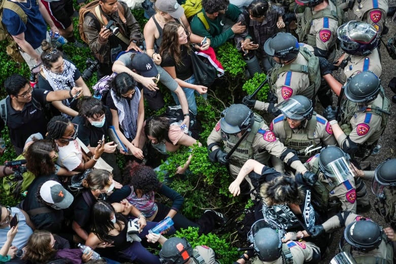 A crowd of protesters on one side of a line of shrubs faces a crowd of police in riot gear, as officers pull one demonstrator away.