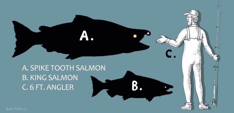 Silhouettes of a person with two salmon, one similar in size to the human, and the other one about half the size.