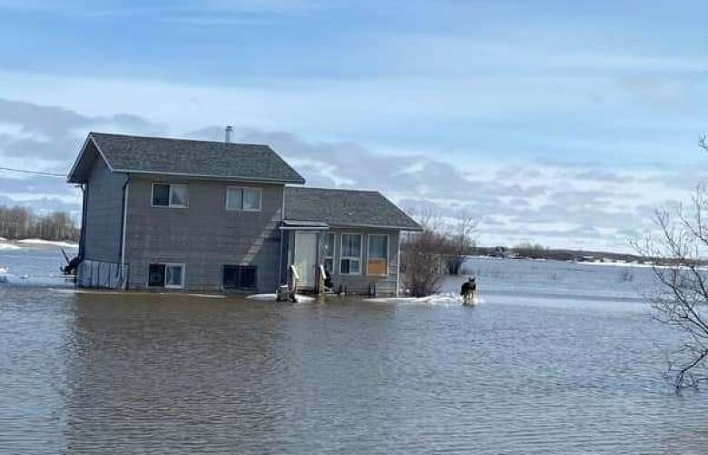 A house surrounded by water.