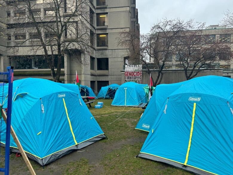 blue tents on a lawn