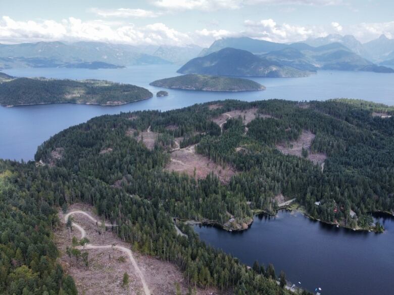 aerial view of forest, clear cuts, lake, ocean